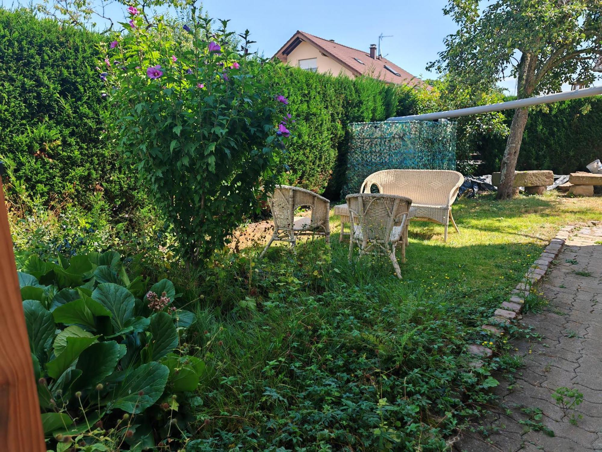 Appartement " Le Chardonneret " Issenheim Exterior photo